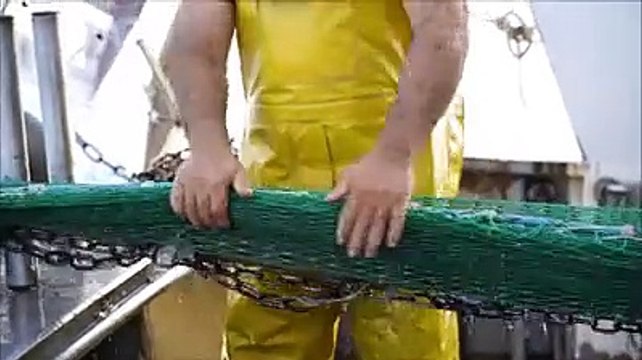 Trenta ricette proposte dai pescatori