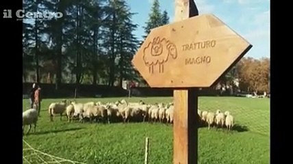 Da L'Aquila a Foggia lungo l'antico Tratturo Magno: "Il sogno ? passare per Matera"