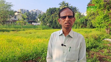 गाय राज्यमाता पण हे लक्षात ठेवा