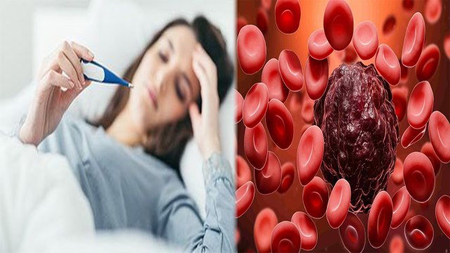 Blood Cancer Symptoms In Hindi: Blood Cancer Kyu Aur Kaise Hota Hai,Blood Cancer Causes..| Boldsky