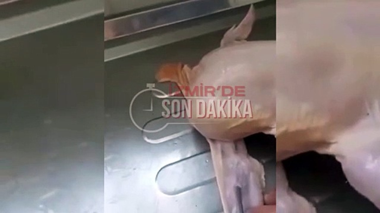 Gıda Sektöründe Hile!