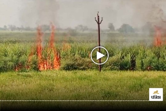 100 एकड़ में लगी गन्ने की फसल जलकर खाक
