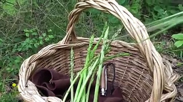 Il libro Le erbe spontanee in cucina in regalo con il Centro
