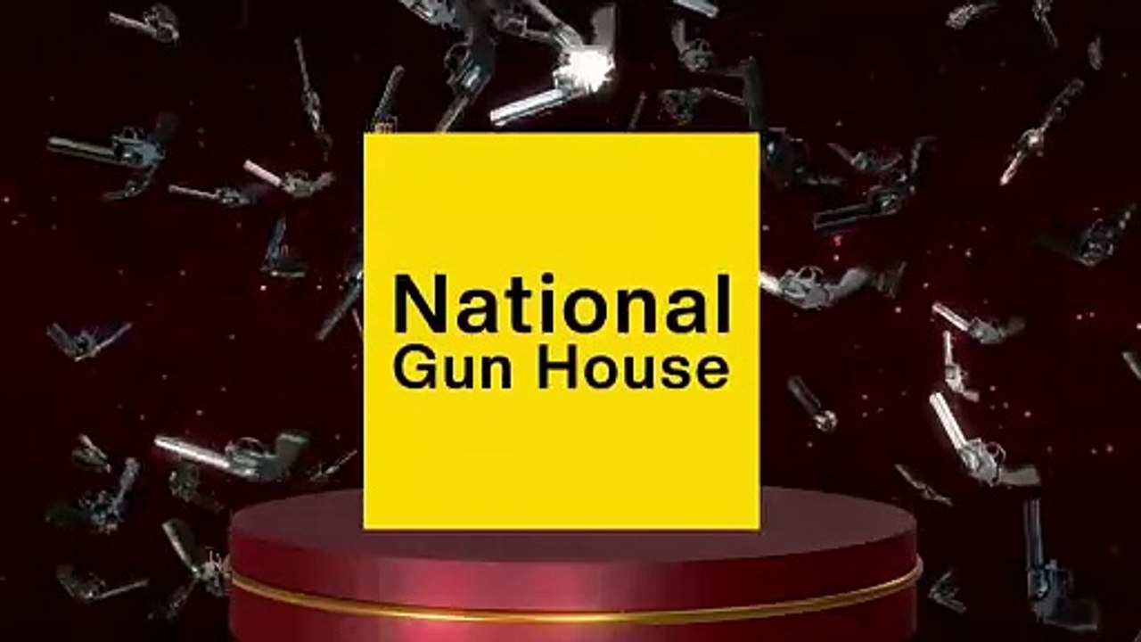 Best Air Pistol in India - National Gun House