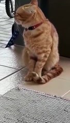 antara ngantuk dan laper