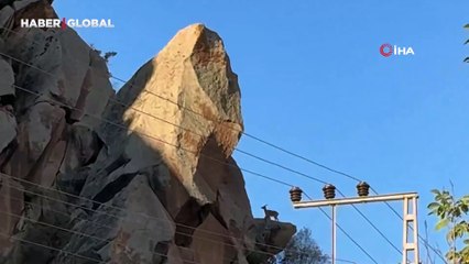 Dağ keçileri ve yavruları yakından görüntülendi