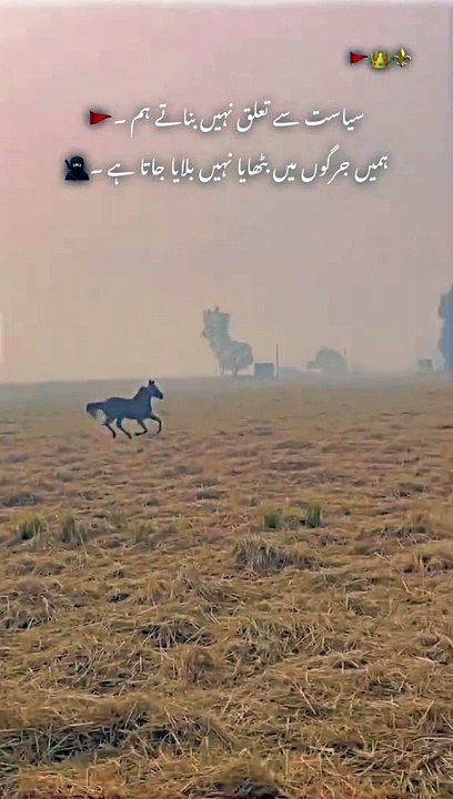 Horse lover's #plz_subscribe_my_channel