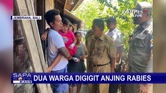 Terjadi Lagi, Seorang Nenek dan Cucunya Jadi Korban Gigitan Anjing Rabies!