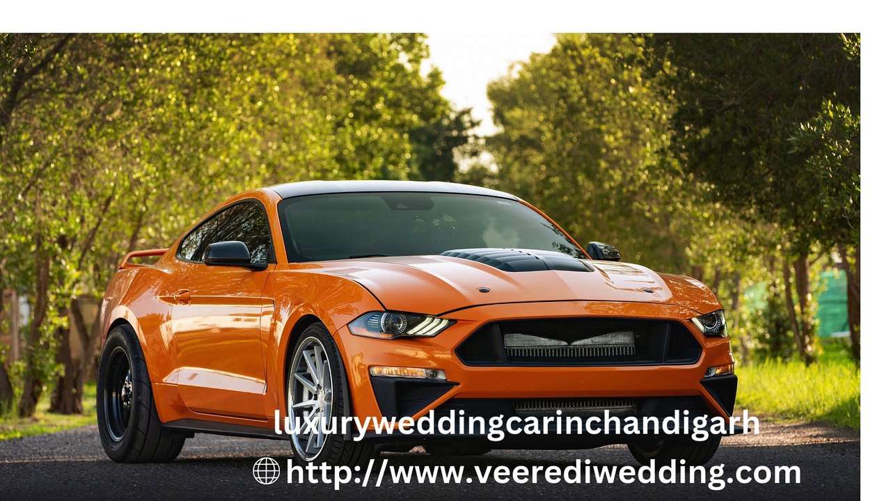 luxuryweddingcarinchandigarh