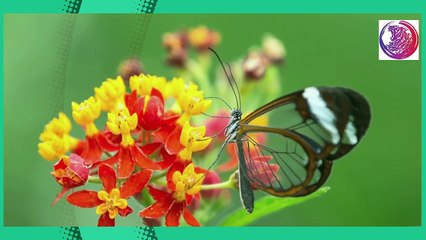 Qabar Ka Pehla Raat Aur Munkar Nakir Ka Aakhri Saw