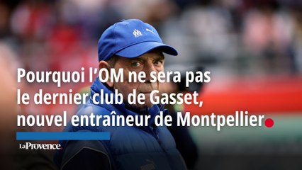 Pourquoi l’OM ne sera pas  le dernier club de Gasset,  nouvel entraîneur de Montpellier