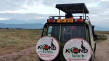 Explore uganda with mond safaris