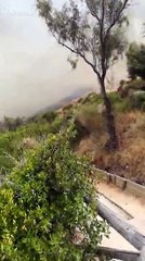 Lingue di fuoco e colonne di fumo, devastata la Riserva di Punta Aderci