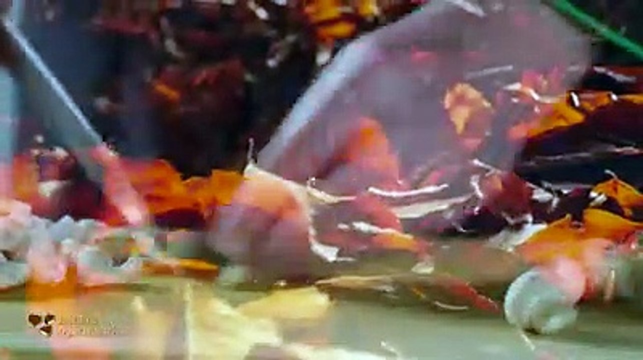La Cucina d'autunno in regalo con il Centro