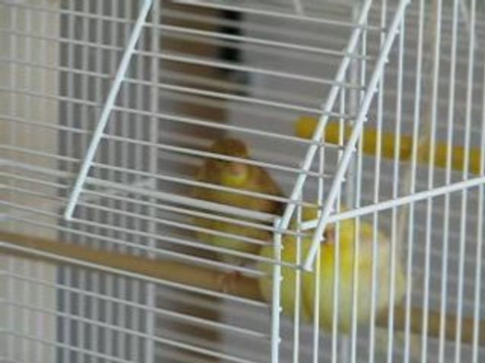MVI_4072