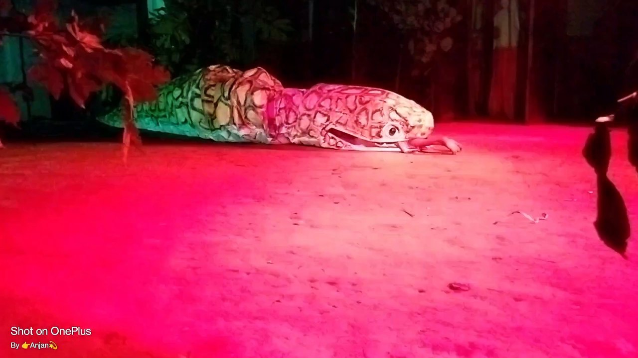 Rakh majuli