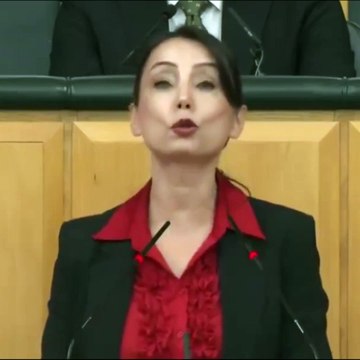 DEM Parti'den Bahçeli'nin 'Öcalan' çıkışına ilk yanıt