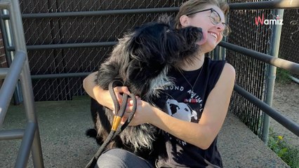 Appelés pour un avis d'expulsion, des agents trouvent un chien en train de veiller le corps de son maître
