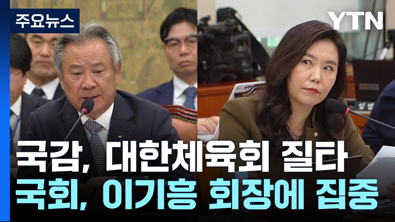 "체육 대통령, 그 이상"...국감서 이기흥 체육회장 질타 / YTN