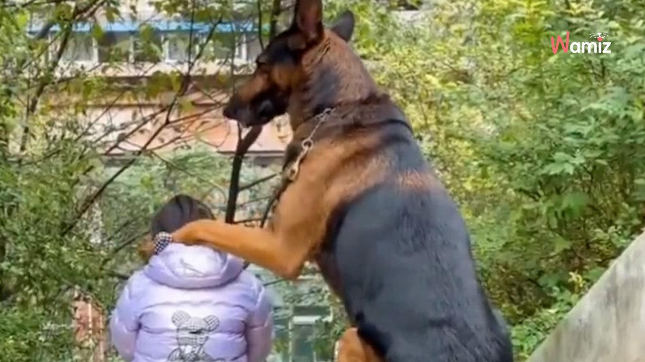 Ein riesiger Hund sitzt neben einem kleinen Mädchen: Plötzlich passiert etwas Unerwartetes