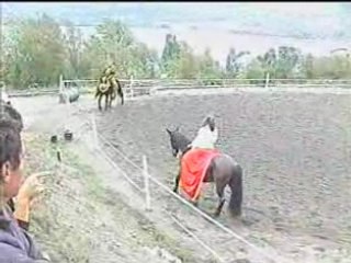 Spectacle Médiéval à Cheval