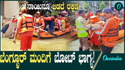 ಅಯ್ಯಯ್ಯೋ ಬೆಂಗಳೂರು! ಮಹಾಮಳೆಗೆ ಜನರ ಪರದಾಟ ನೋಡಿ! ರಸ್ತೆ ಮಾಯವಾಗಿ ಬೋಟ್ ಸಂಚಾರ
