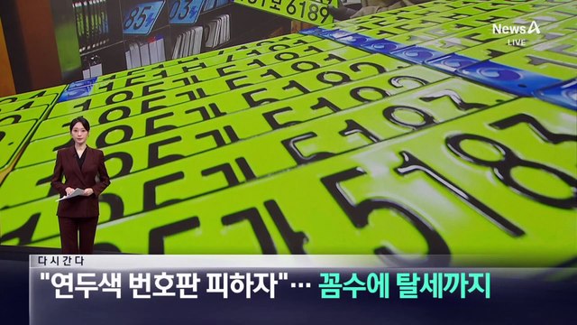 [다시 간다]“연두색 번호판 피하자”…꼼수에 탈세까지