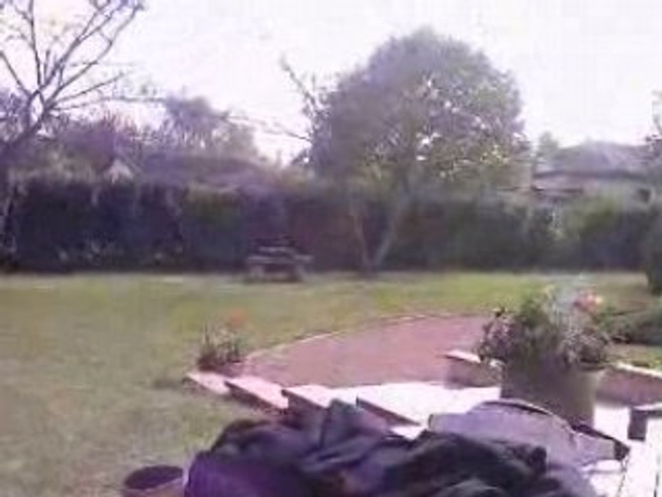 Met le ballon ou tu veux nico arbre