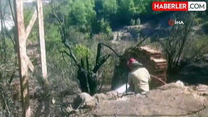 Mersin'de Zeytinlik Alanda Yangın, İki Metruk Ev Yandı