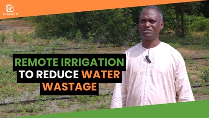 Niger: Remote irrigation to reduce water wastage