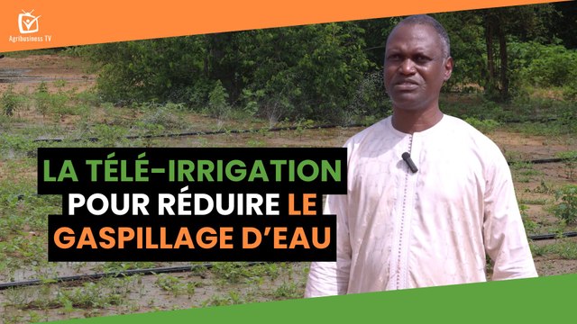 Niger : La télé-irrigation pour réduire le gaspillage d’eau