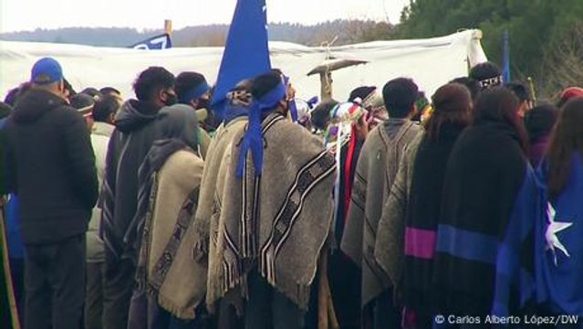 Tierras mapuches: ¿un nuevo modelo productivo?