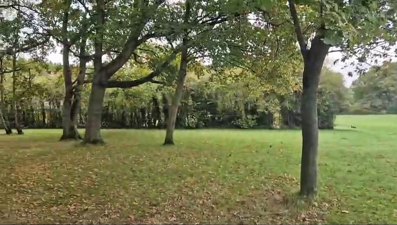 Purbrook Heath