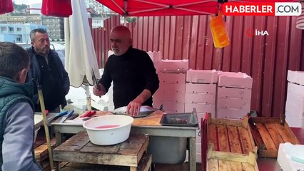 Palamut Fiyatı Düşerek 150 Liraya Geriledi