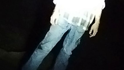 VenomInk - Tas de chiens