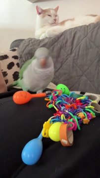 Rescue Quaker Shakes Toys to Make Sound