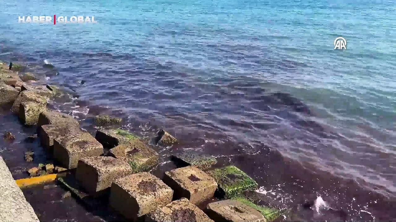 Tekirdağ'da sahilin rengi değişti