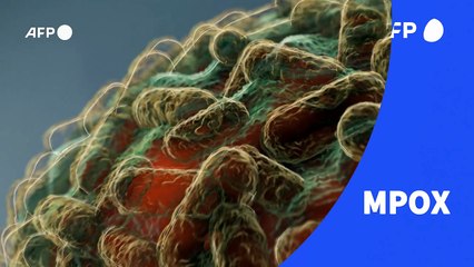 Videografik: Mpox – So gefährlich ist die Viruserkrankung