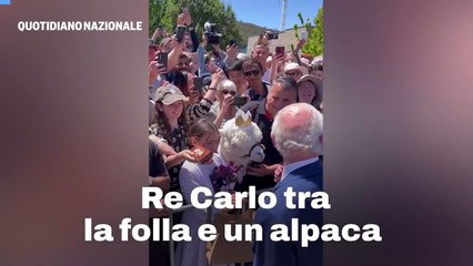 Re Carlo tra la folla e un alpaca