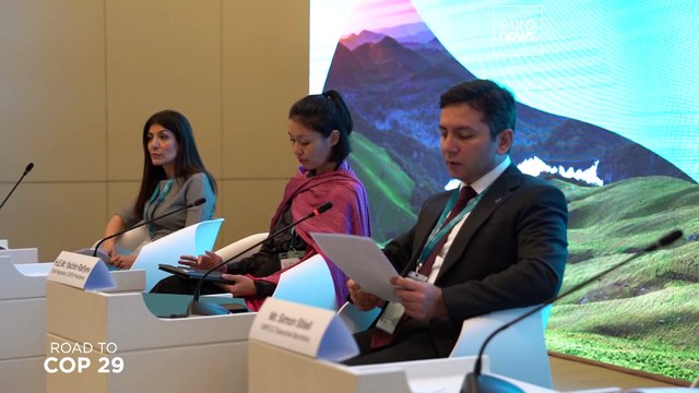 Подготовка к COP29 в Баку: мировые лидеры проработают решения и бюджет в сфере изменения климата