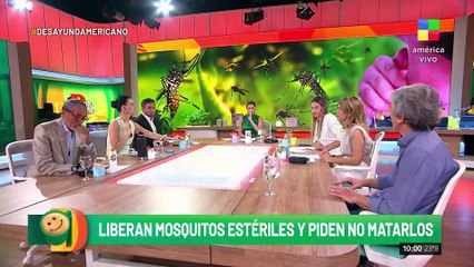 Repelente y ropa clara: estrategias contra el Dengue
