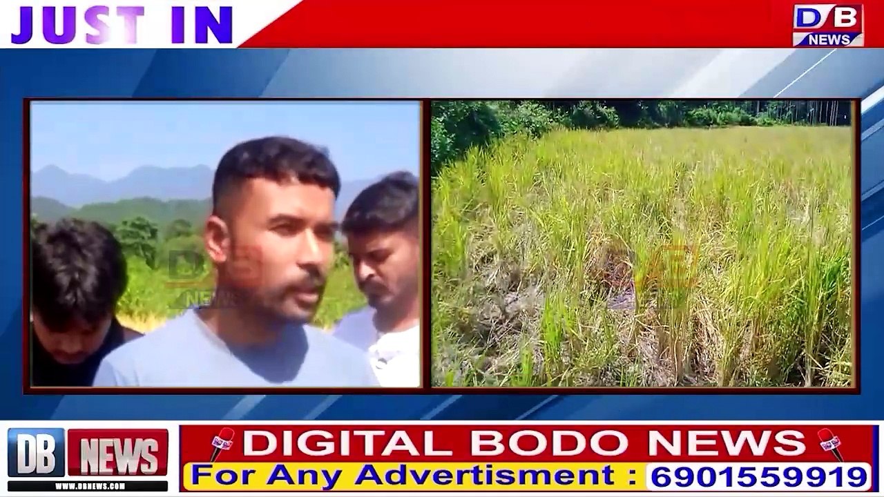 कुन्द्रुबिलाव हाग्रानि मैदेरनिथाखै आबादफोरखौ मोनासै।