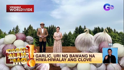 Bawang, hindi hiwa-hiwalay ang clove?! | Dapat Alam Mo!