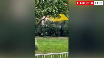 Görüntü Türkiye'den! 3 kişi güpegündüz çalılıkların arasında cinsel ilişkiye girdi