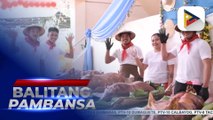 Lechon-all-you-can fiesta held in Batangas to assure locally-produced pork is safe for human consumption