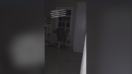 Instala una pequeña puerta para sus gatos y se ve invadida por animales inesperados