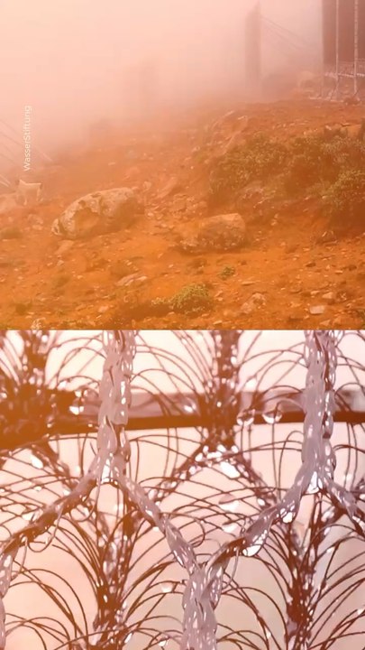 Abonne-toi pour suivre d’autres solutions positives !     @theimpactstory   Source : Wasserstiftung #eau #nature #innovation #invention #lowtech