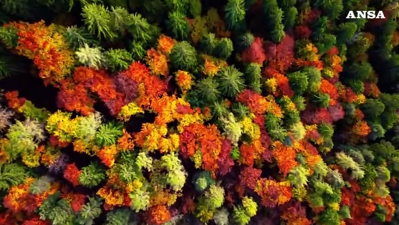 La magia del foliage in Alta Val di Non