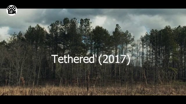 Andha Ladka Phass Gaya Bhootiya Jungle Mein | Movie Explained in Hindi | Film/Movie Explained in Hindi/Urdu | Hindi Story