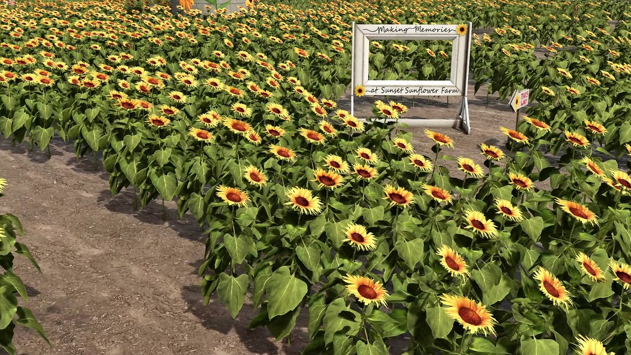 Farming Simulator 25 - il trailer delle feature